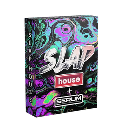Slap House Sample Pack Product Image