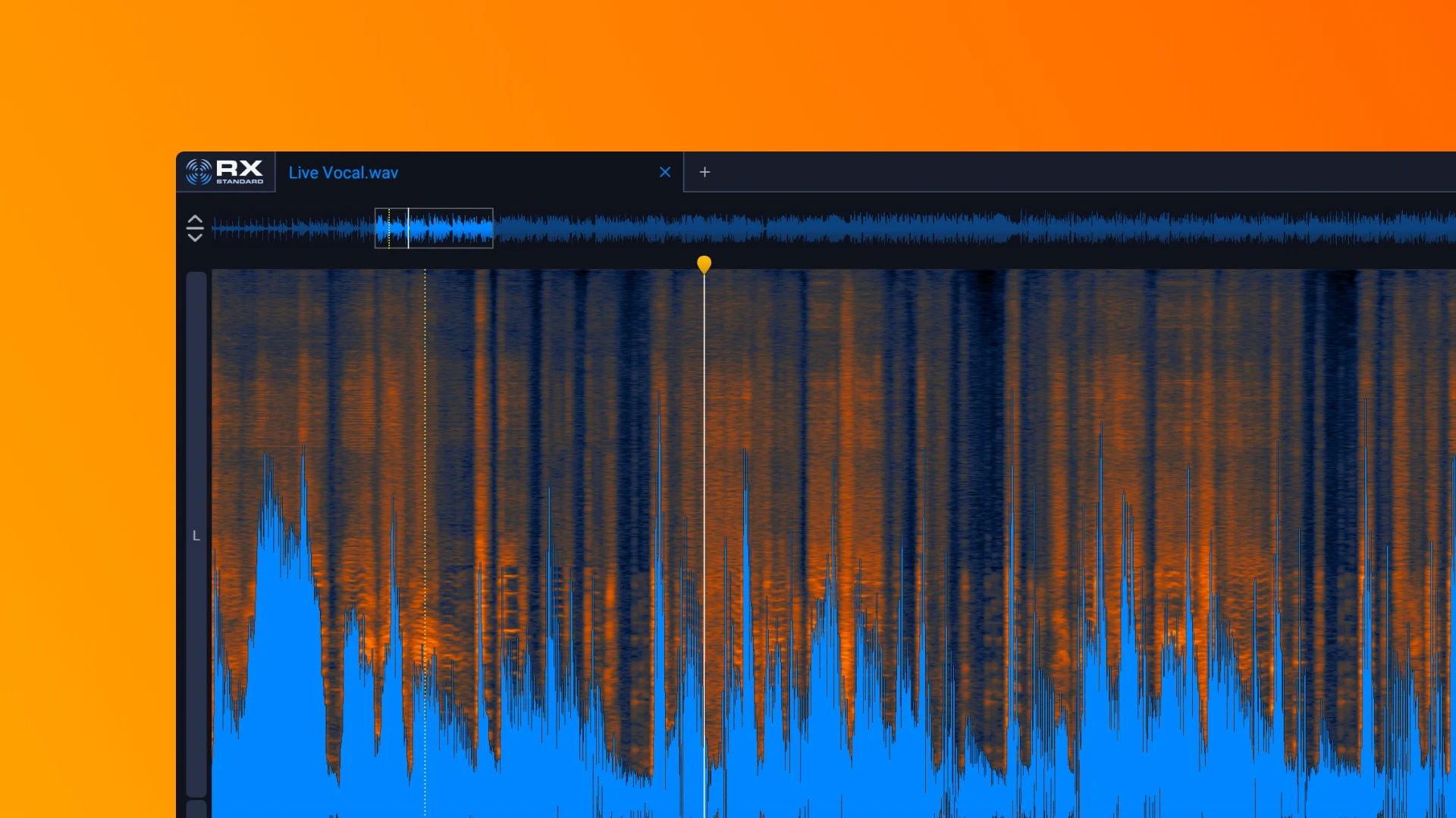 iZotope RX 12 Standard interface