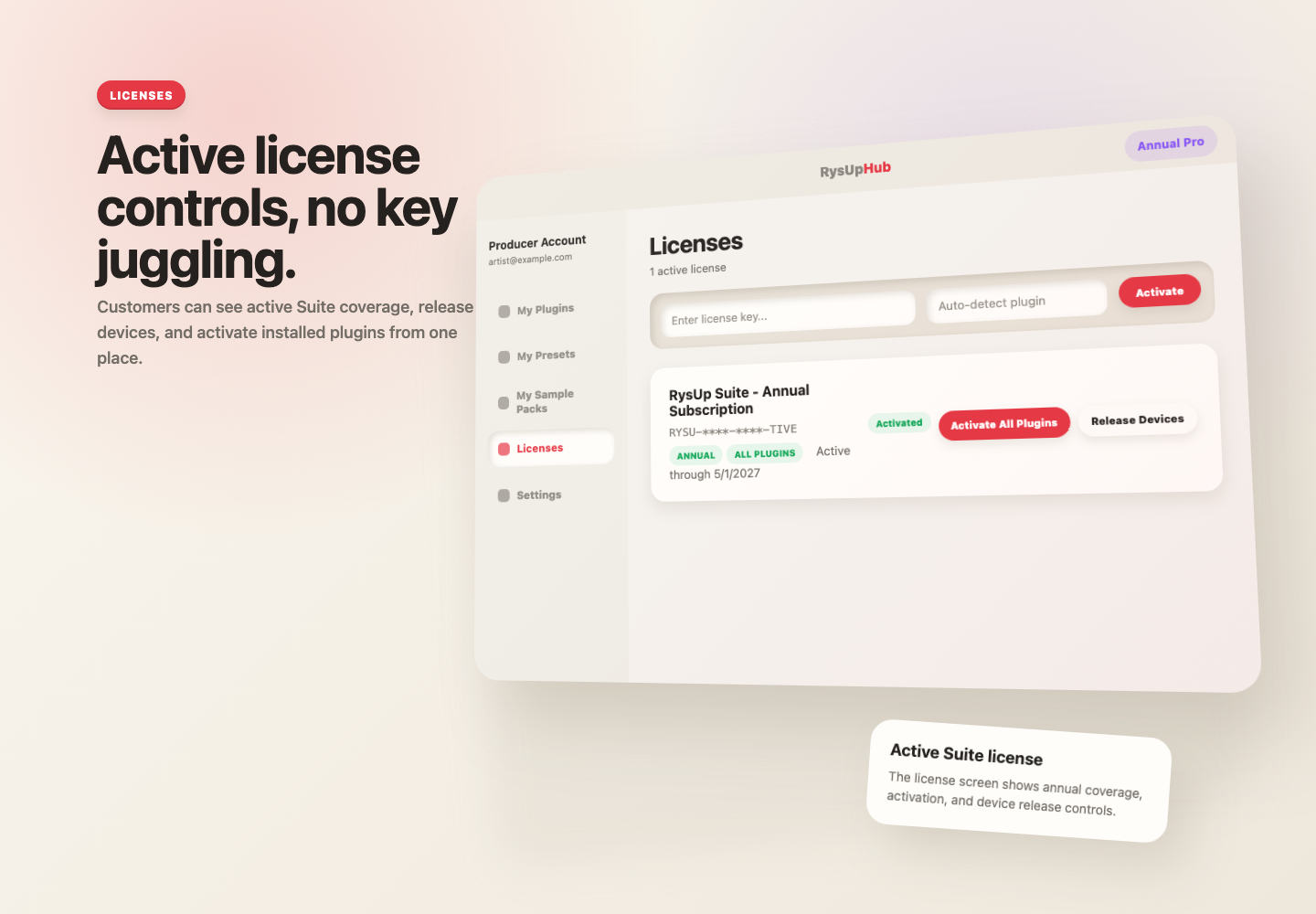Licenses view in RysUpHub