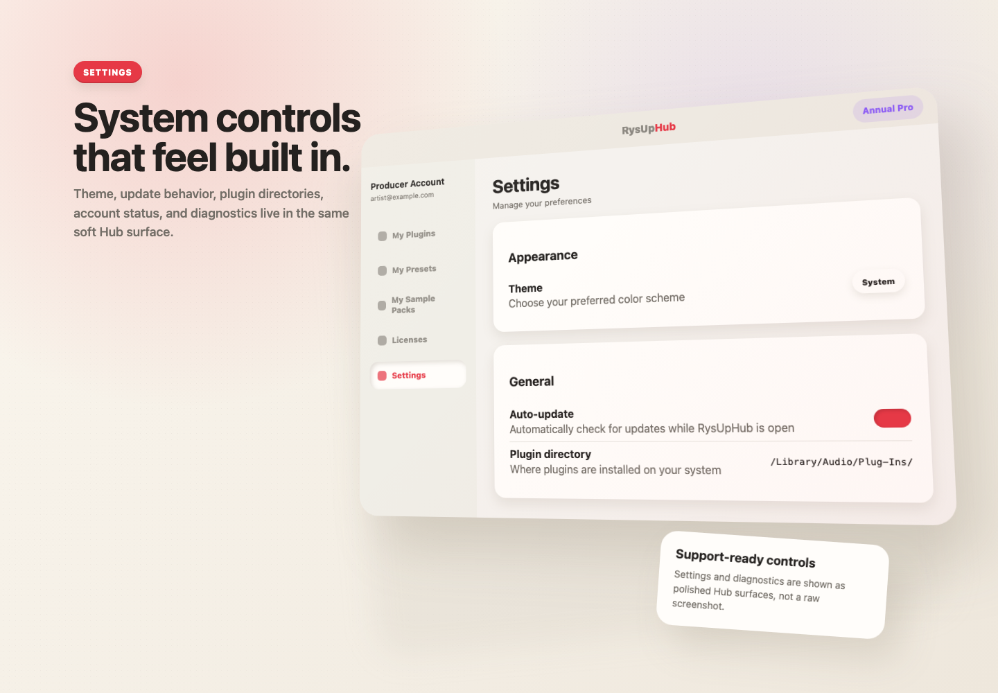 Settings view in RysUpHub
