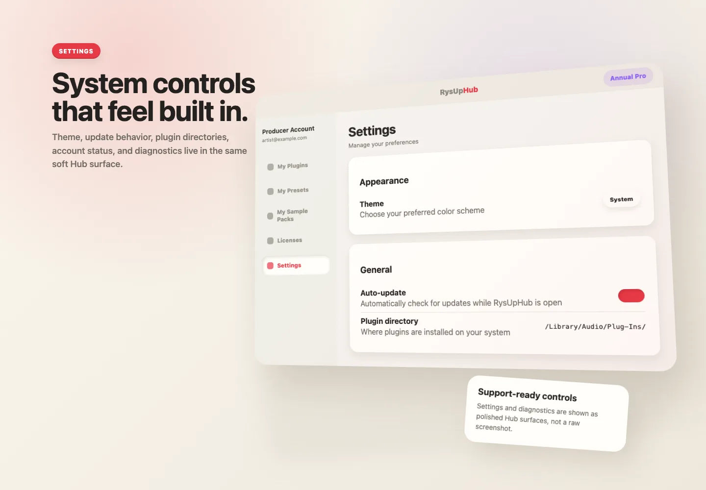 Settings view in RysUpHub